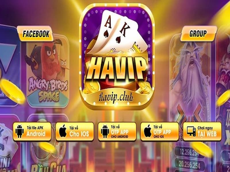 Havip Club để lại dấu ấn nổi bật ngay từ giao diện